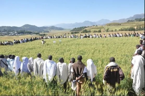 Development Tigray - Ethiopia