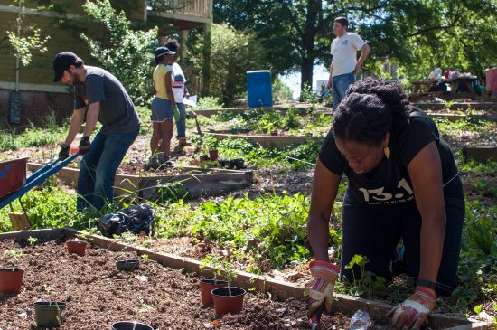 community farm