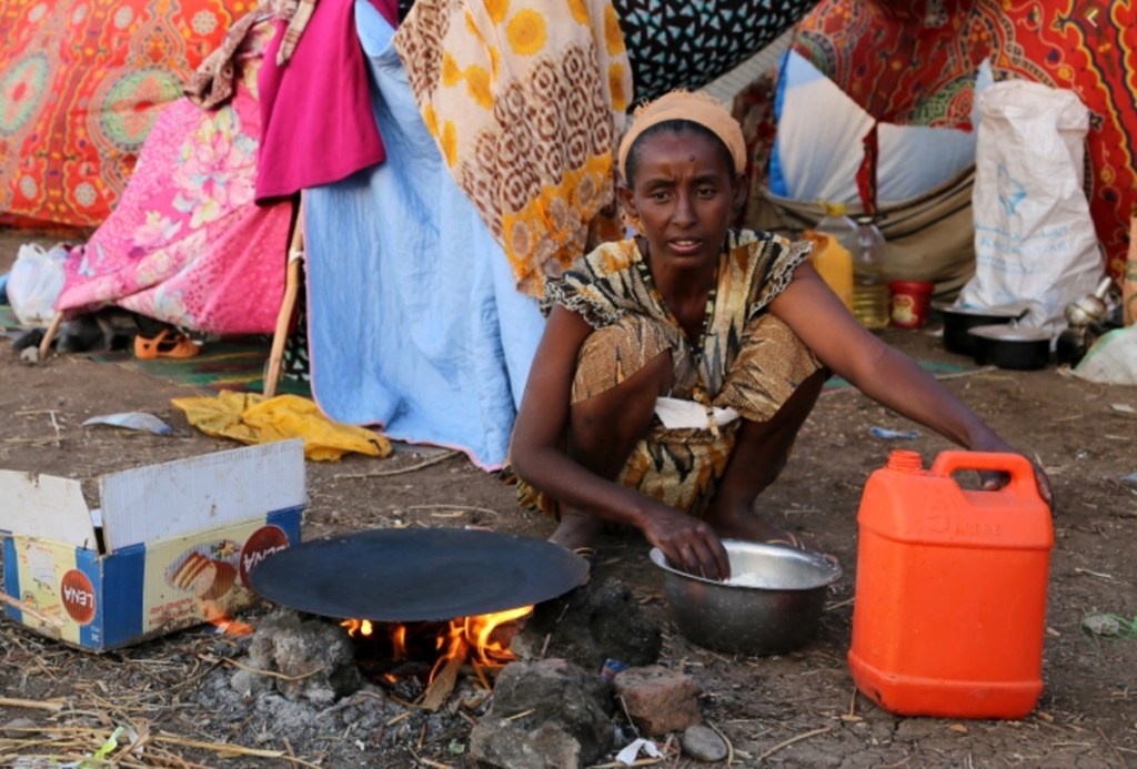 Optimized-Tigray