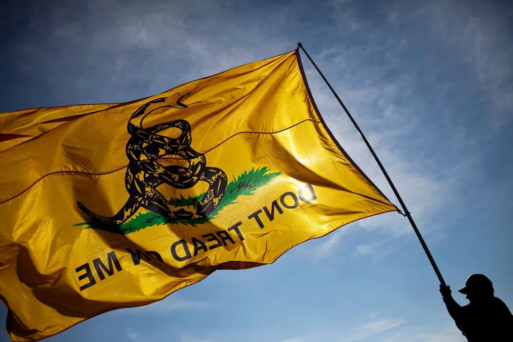 Walker-Shifting-Symbolism-Gadsden-Flag (1)
