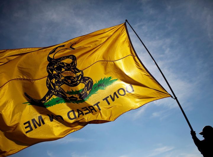 Walker-Shifting-Symbolism-Gadsden-Flag (1)