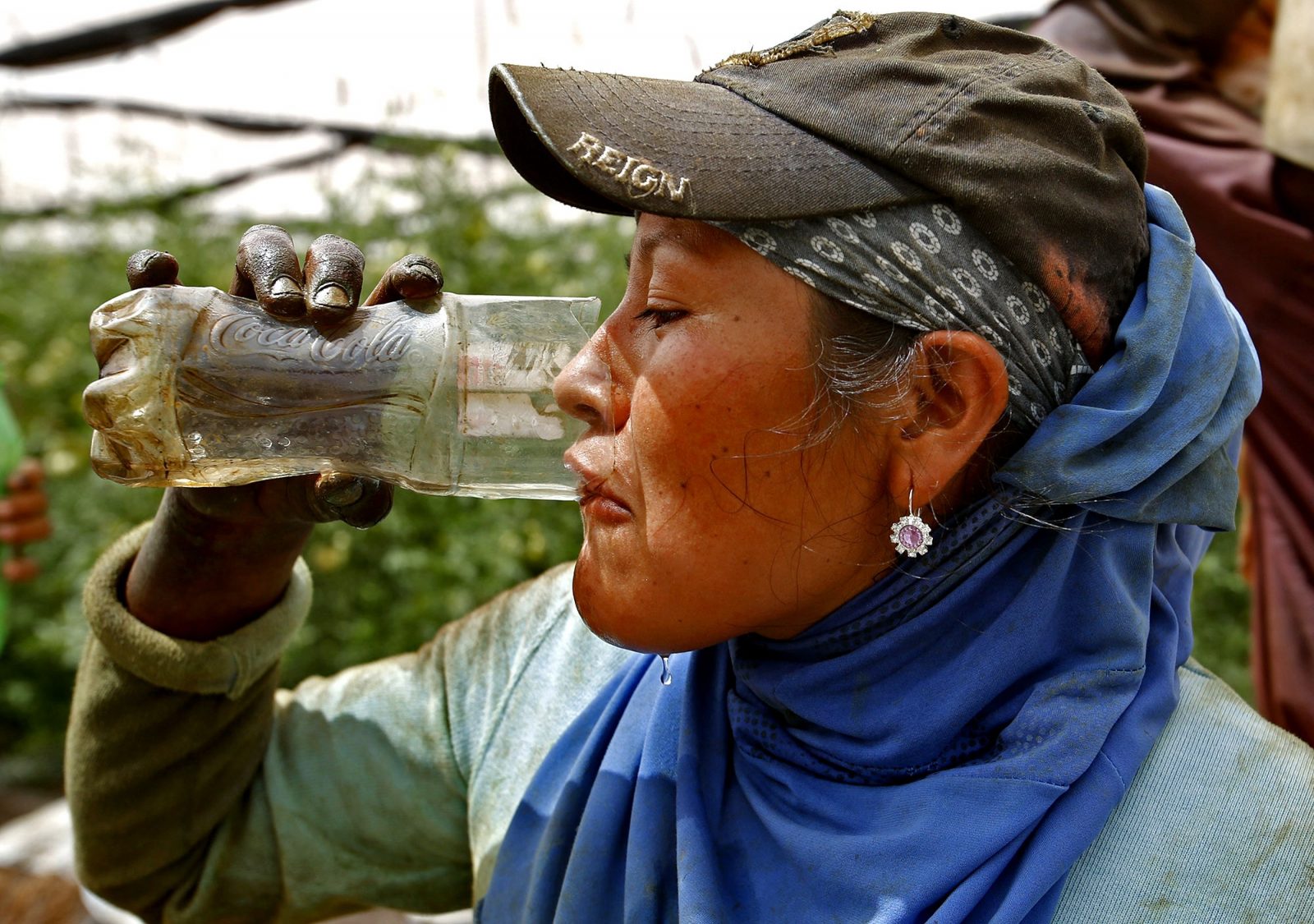 Mexican workers migrant Ghion