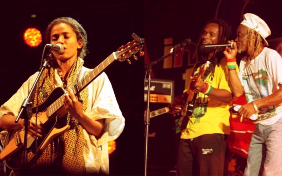Nneka Midnight Ghion Journal