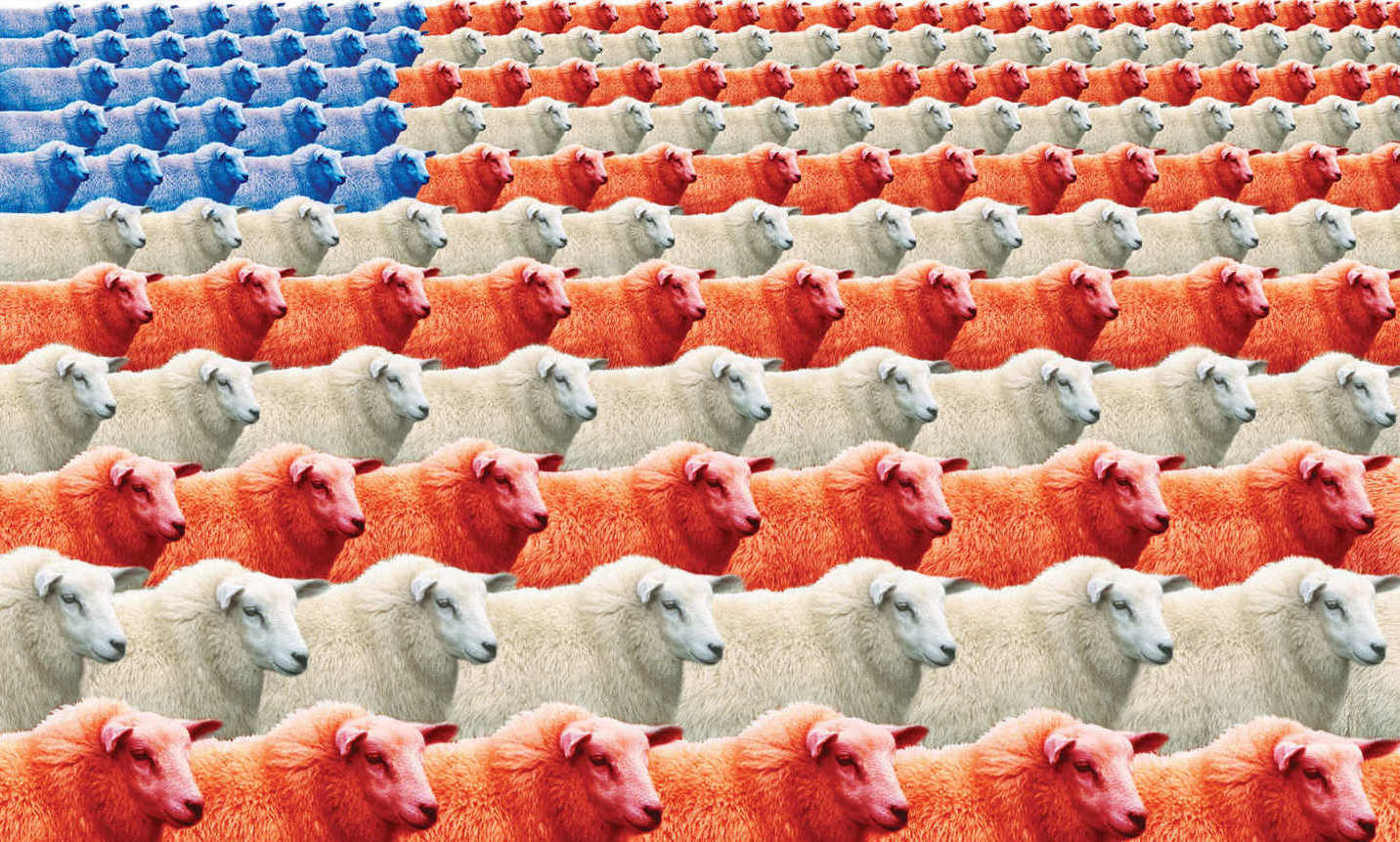 we the sheeple