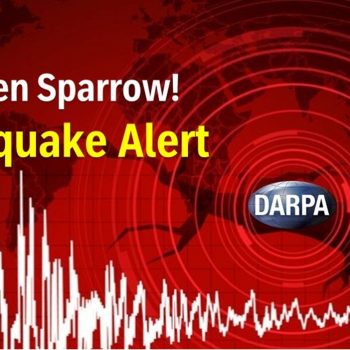 Quake alert