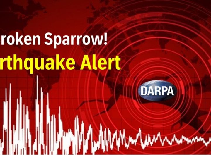 Quake alert