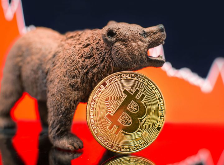 bitcoinbears