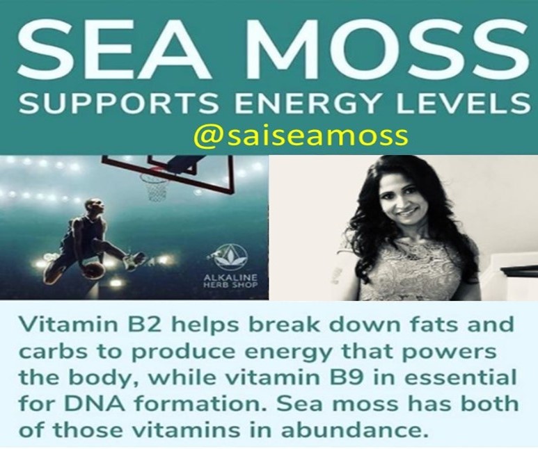 seamoss-1.jpg