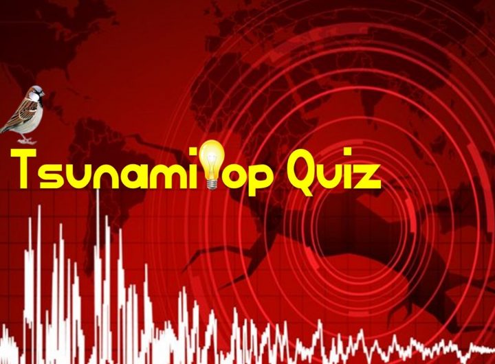 Tsunami pop quiz